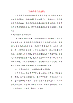 卫生安全自查报告.docx