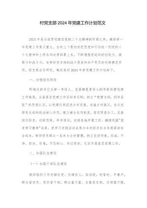 村党支部2024年党建工作计划范文.docx