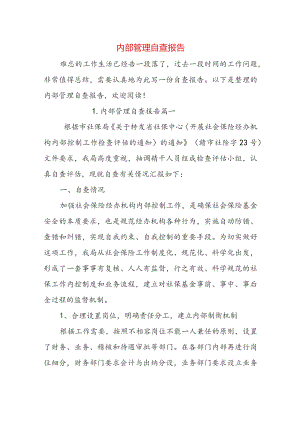 内部管理自查报告.docx