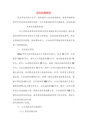 项目自查报告.docx
