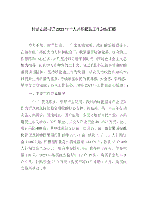 村党支部书记2023年个人述职报告工作总结汇报.docx