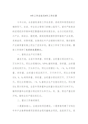 2023年工作总结及2024年工作打算.docx
