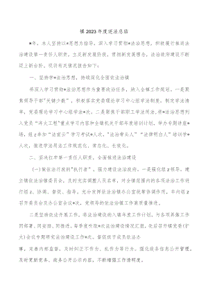 镇2023年度述法总结.docx