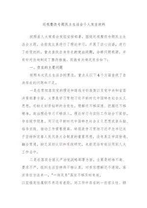 巡视整改专题民主生活会个人发言材料.docx
