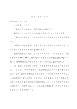 经理一周工作总结.docx