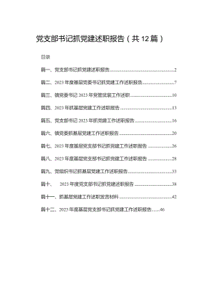 党支部书记抓党建述职报告12篇供参考.docx