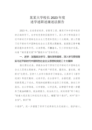 某某大学校长2023年度述学述职述廉述法报告.docx