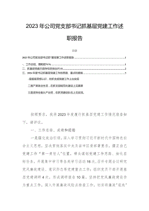 2023年公司党支部书记抓基层党建工作述职报告.docx