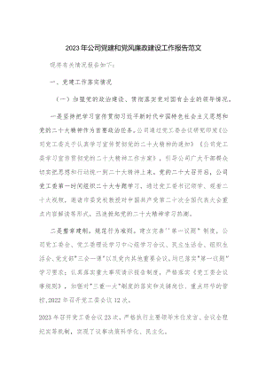 2023年公司党建和党风廉政建设工作报告范文.docx