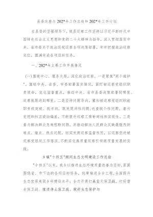 县委巡察办2023年工作总结和2024年工作计划.docx
