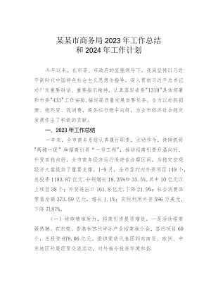 某某市商务局2023年工作总结和2024年工作计划.docx