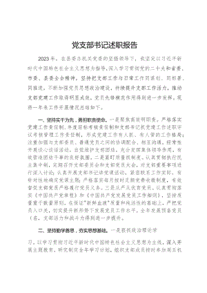 党支部书记述职报告.docx