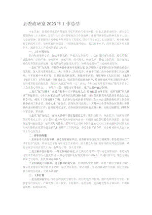 县委政研室2023年工作总结.docx
