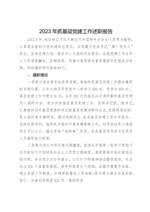 公司党委书记2023年抓基层党建工作述职报告.docx