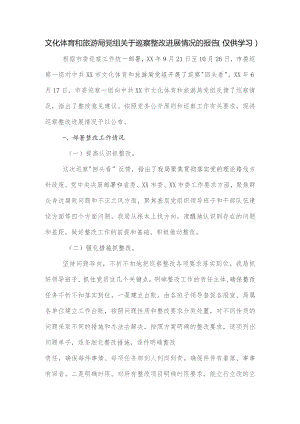 文化体育和旅游局党组关于巡察整改进展情况的报告.docx