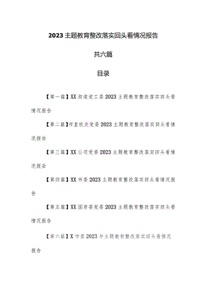 （6篇）2023专题教育整改落实回头看情况报告.docx