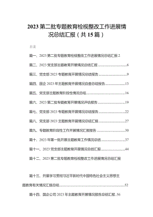 第二批专题教育检视整改工作进展情况总结汇报15篇（精编版）.docx