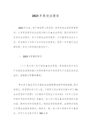 2023年度述法报告.docx