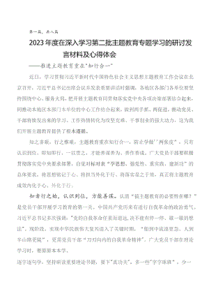 共八篇2023年关于开展学习第二阶段题主教育交流研讨发言.docx