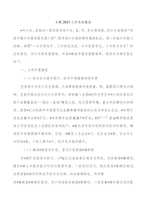 乡镇2023工作总结报告.docx