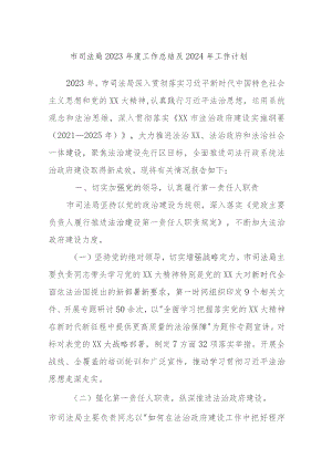市司法局2023年度工作总结及2024年工作计划.docx