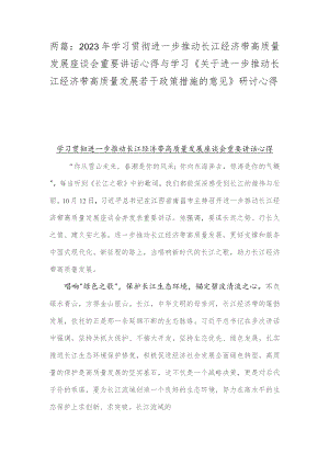 两篇：2023年学习贯彻进一步推动长江经济带高质量发展座谈会重要讲话心得与学习《关于进一步推动长江经济带高质量发展若干政策措施的意见》研讨心得.docx