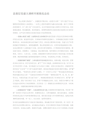 县基层党建大调研开展情况总结.docx