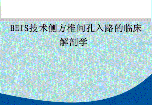 椎间孔入路的应用解剖.ppt