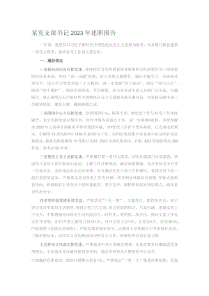 某党支部书记2023年述职报告.docx