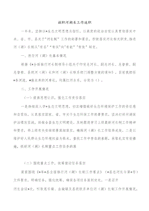 副职河湖长工作述职.docx