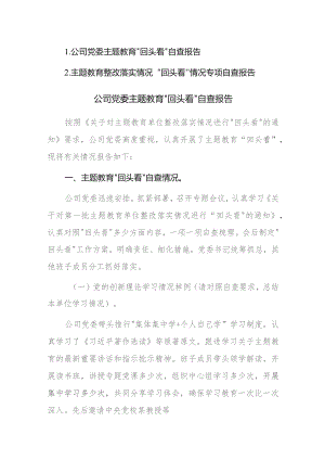 主题教育整改落实情况“回头看”情况专项自查报告范文2篇.docx