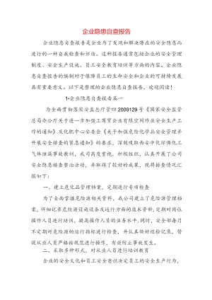 企业隐患自查报告.docx