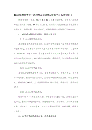 2023年度县委关于巡视整改进展情况的报告.docx