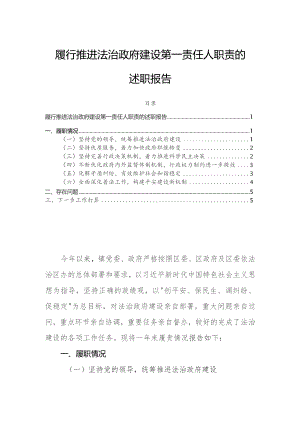 履行推进法治政府建设第一责任人职责的述职报告.docx