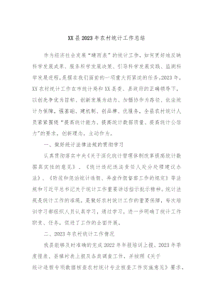 XX县2023年农村统计工作总结.docx