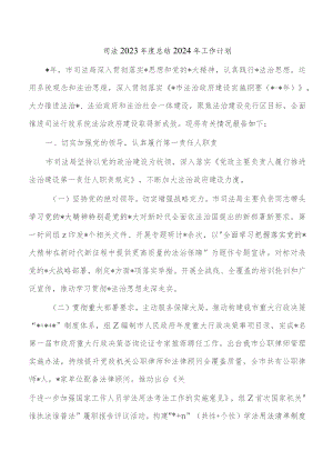司法2023年度总结2024年工作计划.docx
