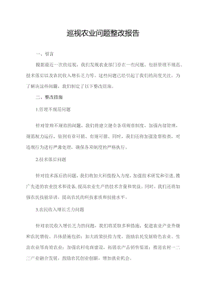 巡视农业问题整改报告.docx