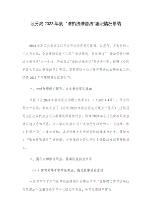 区分局2023年度“谁执法谁普法”履职情况总结.docx