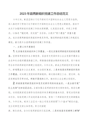 2023年县两新组织x建工作总结汇报报告团队建设.docx