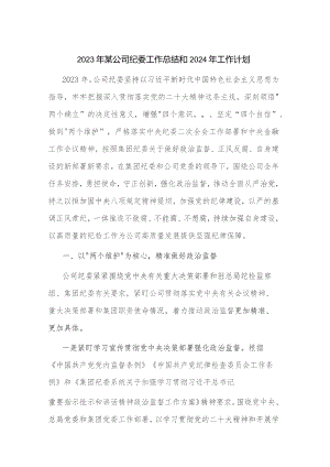 2023年某公司纪委工作总结和2024年工作计划.docx