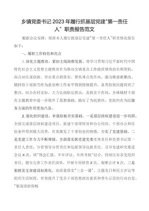 2023年履行抓基层x建第一责任人职责报告团队建设工作述职总结汇报.docx