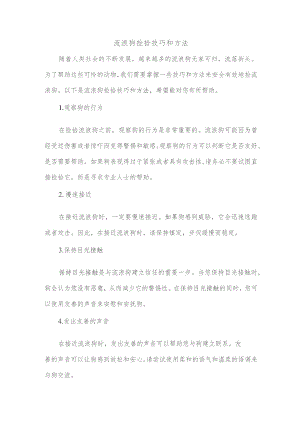 捡流浪狗的技巧和方法.docx