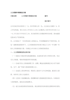 人力资源中期规划方案.docx