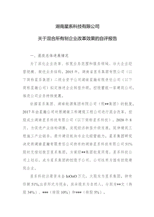 关于混合所有制企业改革效果的自评报告.docx