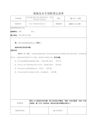专项检查记录104.docx