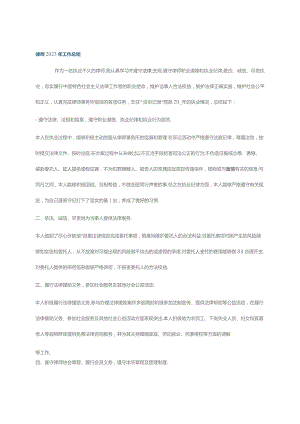 律师2023年工作总结.docx