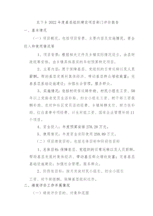 龙下乡2022年度基层组织建设项目部门评价报告.docx