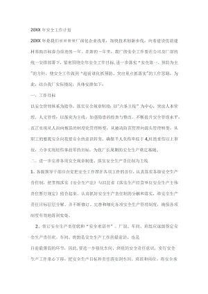 某公司安全工作计划.docx