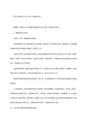 2023年层党建工作“第一责任人”职责情况总结.docx