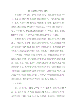 新《安全生产法》感悟.docx